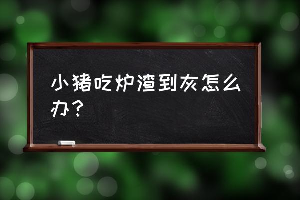 小猪拉灰色的稀啥原因 小猪吃炉渣到灰怎么办？