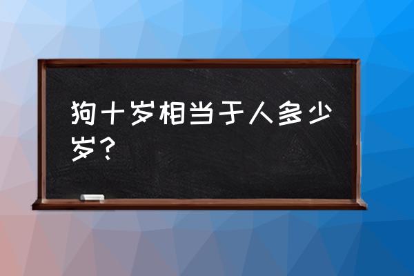 狗的寿命相当于人类的多少年 狗十岁相当于人多少岁？