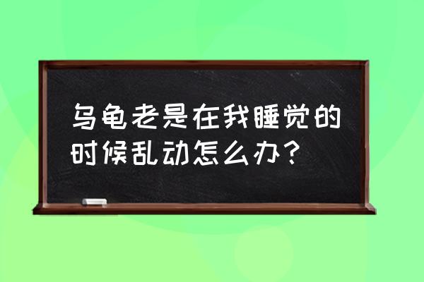 怎么和乌龟增加互动性 乌龟老是在我睡觉的时候乱动怎么办？