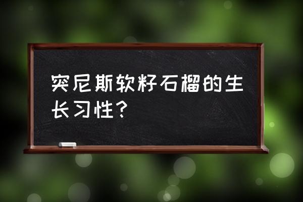 软籽石榴的好处与坏处 突尼斯软籽石榴的生长习性？