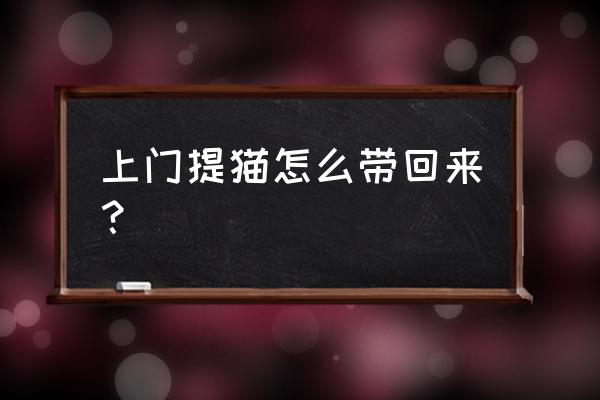 家里没有猫包怎么把猫带出去 上门提猫怎么带回来？