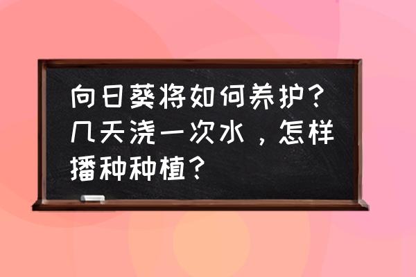 葵花的种植方法和时间 向日葵将如何养护？几天浇一次水，怎样播种种植？