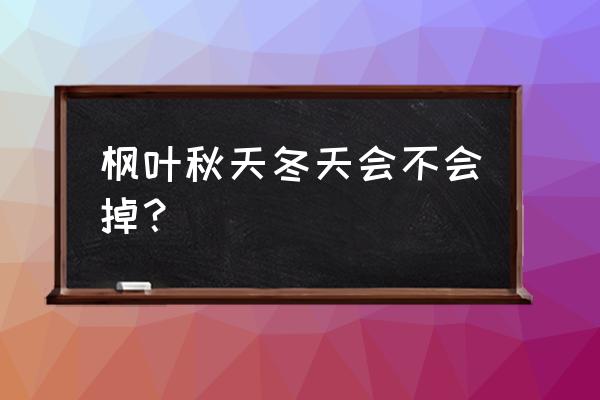 秋季为什么容易掉头发如何调理 枫叶秋天冬天会不会掉？