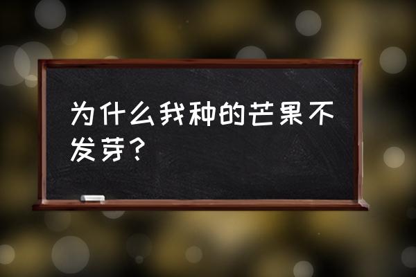 芒果发芽了能吃吗 为什么我种的芒果不发芽？