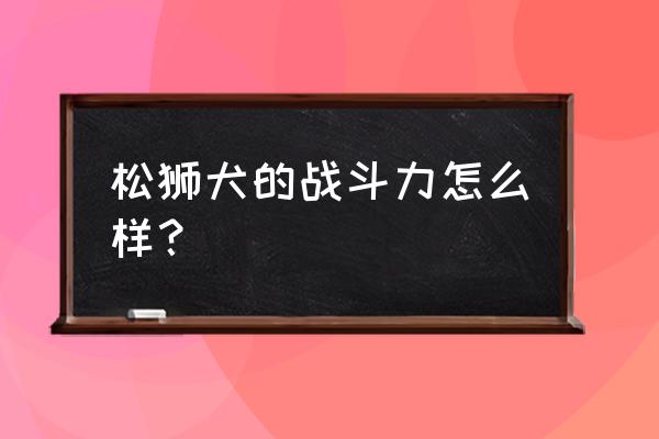 松狮脾气性格特点分析 松狮犬的战斗力怎么样？