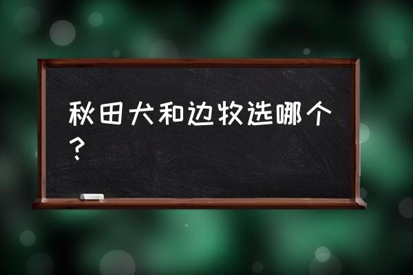 怎么判断秋田犬纯种 秋田犬和边牧选哪个？