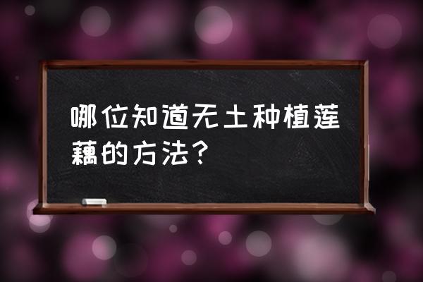 藕虫害怎么消灭 哪位知道无土种植莲藕的方法？