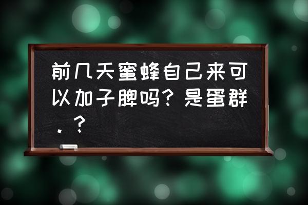 蜜蜂造脾连在一起的处理方法 前几天蜜蜂自己来可以加子脾吗？是蛋群。？