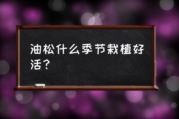 大油松最佳的栽植时间 油松什么季节栽植好活？